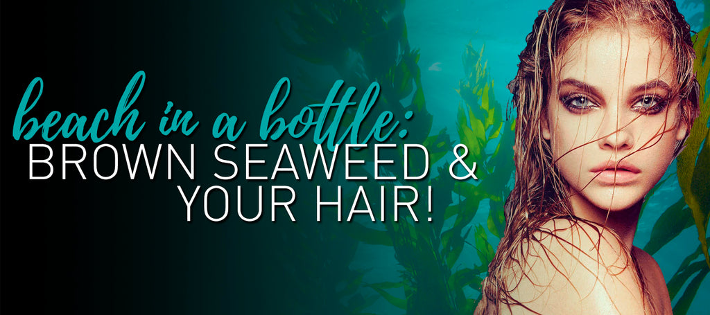 Beach in a Bottle: Brown Seaweed & Your Hair!