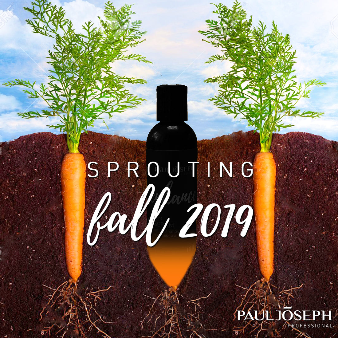 New Product Coming Soon!