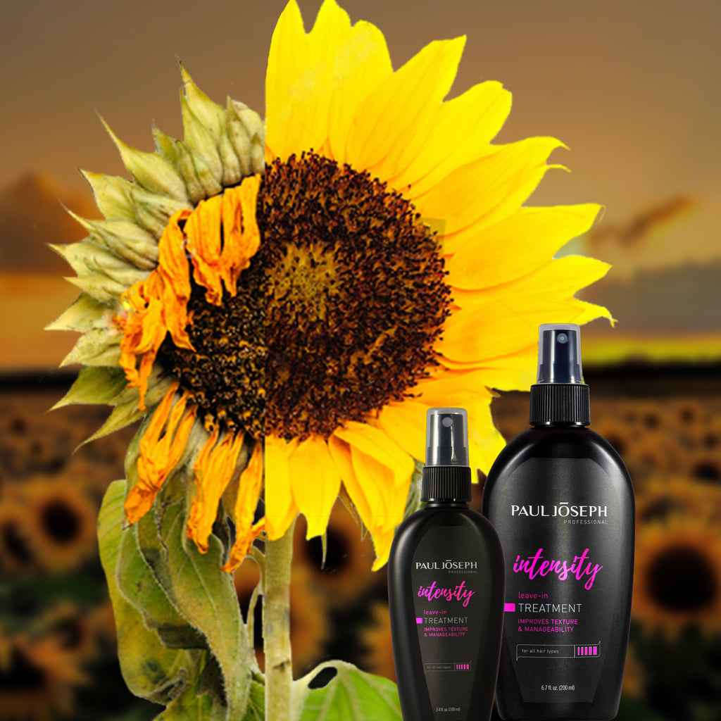 Intensive Repair for Dry & Staticky Hair!