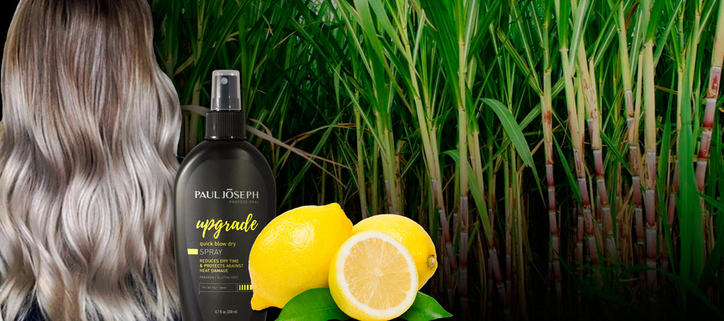 Sweet, Sour & Shine: Creating Healthy Hair with Sugarcane & Lemon Zest Extracts