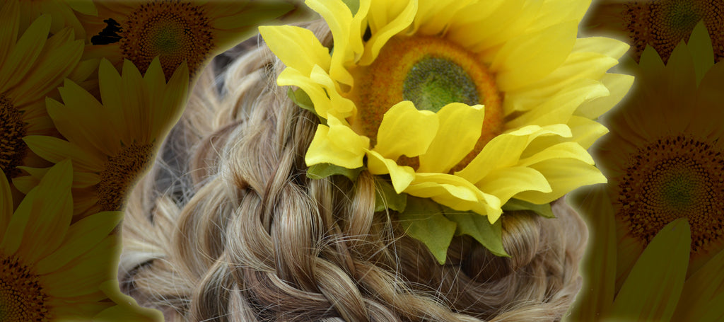 Sunflower Power: The Benefits of Sunflower Seed Extract